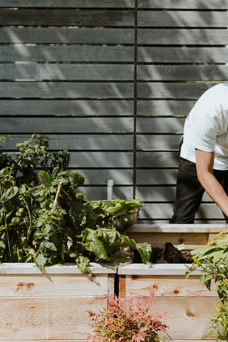 How Chefs Can Build A Better Food Future For People And Planet - Great ...