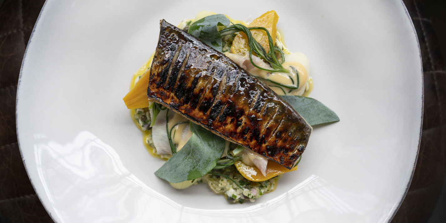 Scorched Mackerel with Smoked Eel and Beetroot Recipe - Great British Chefs