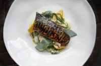 Scorched mackerel with smoked eel, beetroot, sweet mustard and sea herbs