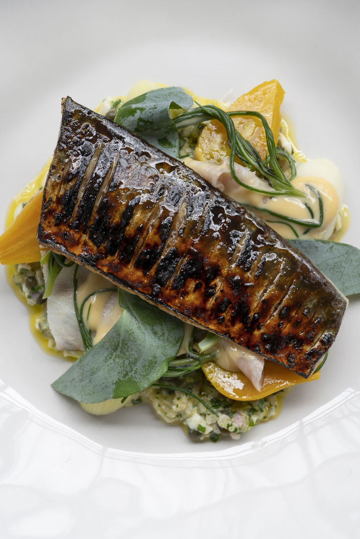 Scorched Mackerel with Smoked Eel and Beetroot Recipe Great British Chefs