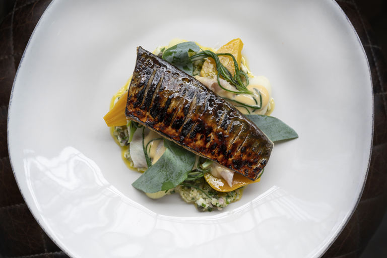 Scorched mackerel with smoked eel, beetroot, sweet mustard and sea herbs