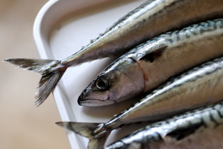 How to cook mackerel