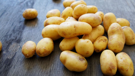 Pembrokeshire Early potatoes