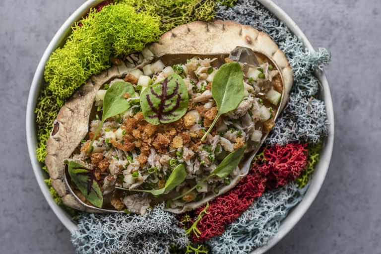 Crab custard with crab and apple salad