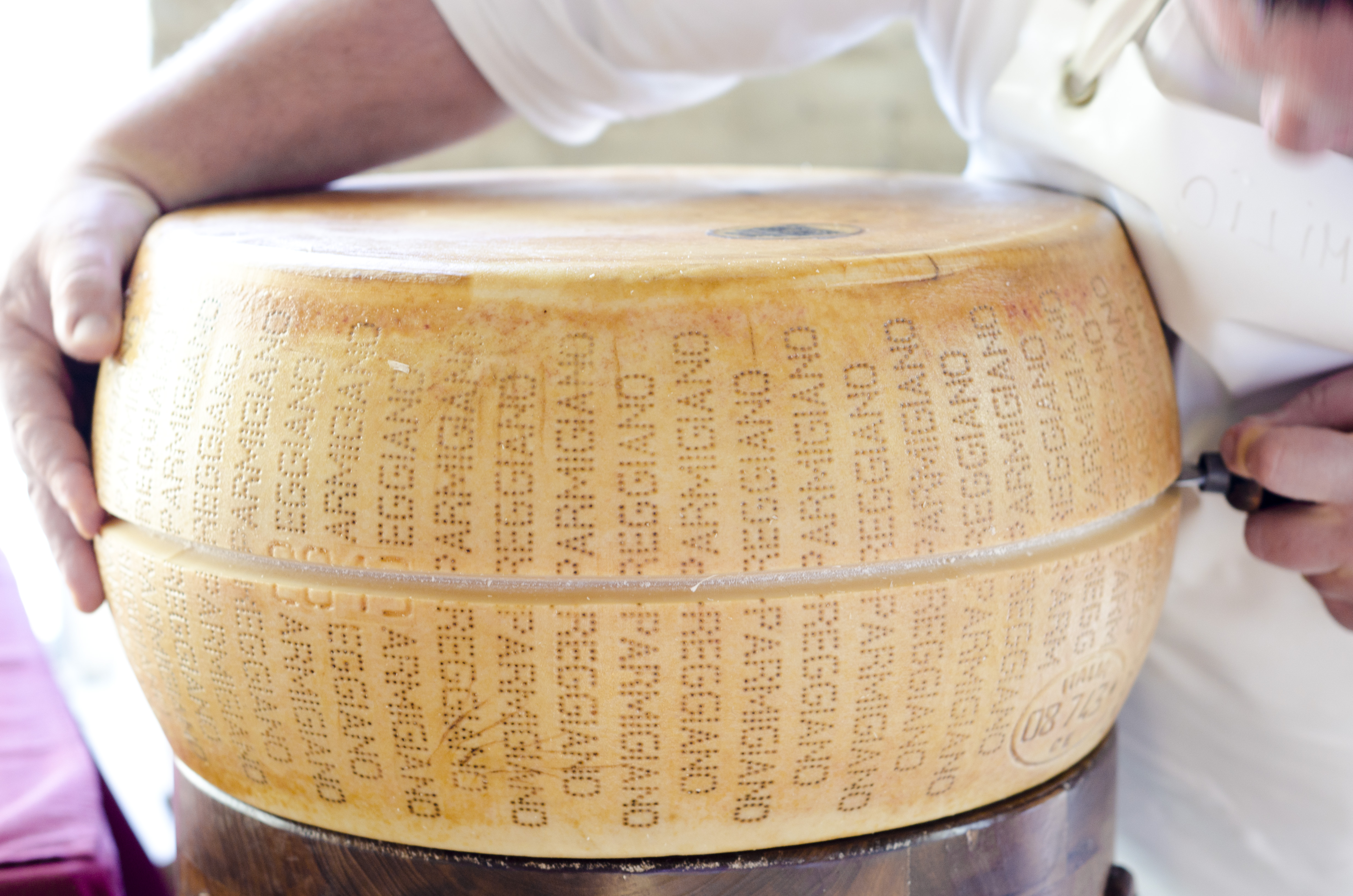 The marked wheels of Parmigiano-Reggiano (Parmesan) cheese