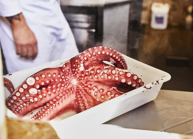 Decrement desinfektionsmiddel mesterværk How To Cook Octopus - Great British Chefs
