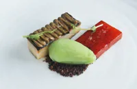 Grilled watermelon, aubergine, chocolate crumbs, cucumber and ginger ice cream