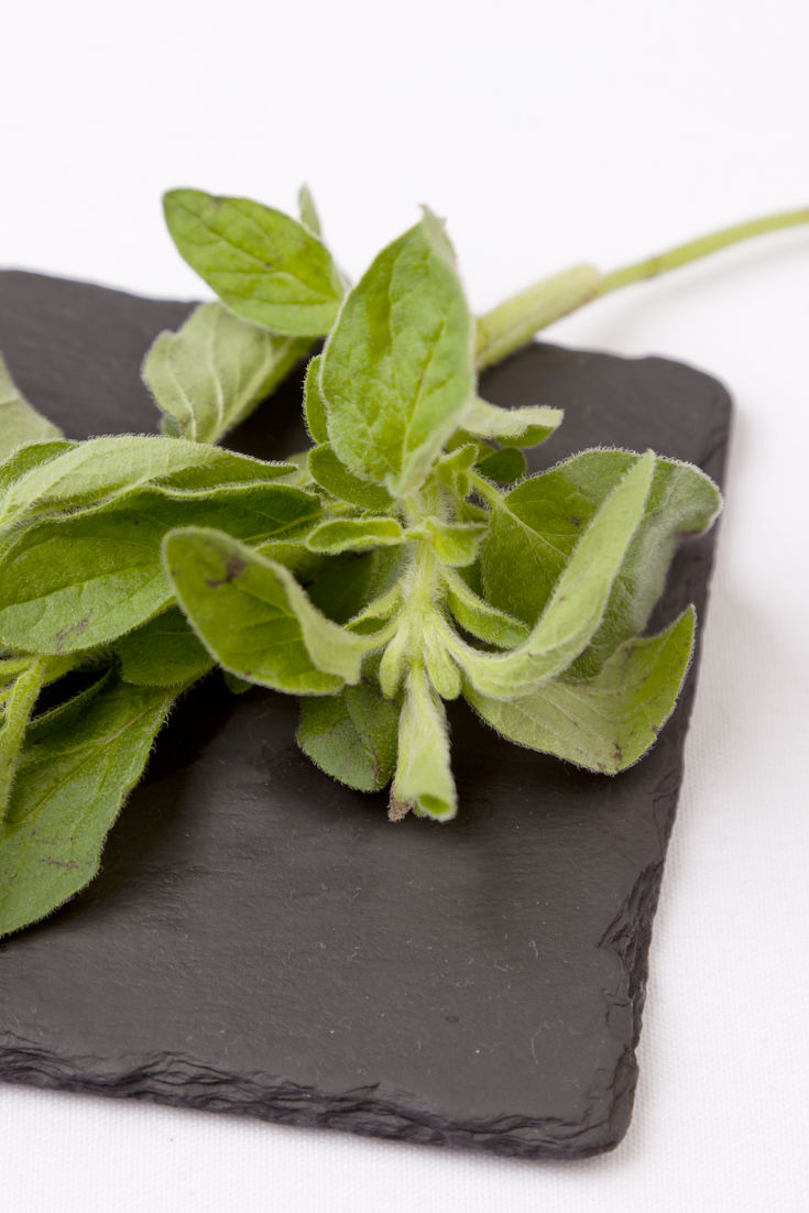 Marjoram Recipes Great British Chefs