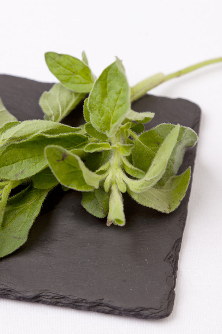 Marjoram Recipes Great British Chefs