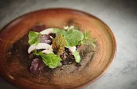 Venison tartare with walnut ketchup, pine oil and mushrooms
