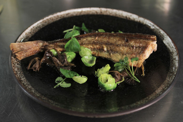 Roast gurnard with Brussels sprout leaves and winter mushrooms