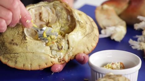 How to remove meat from a crab