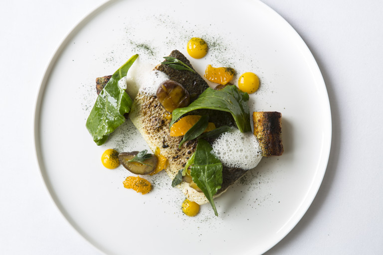 Sea bass and seaweed dumplings with clemintines, chestnuts and lemon foam