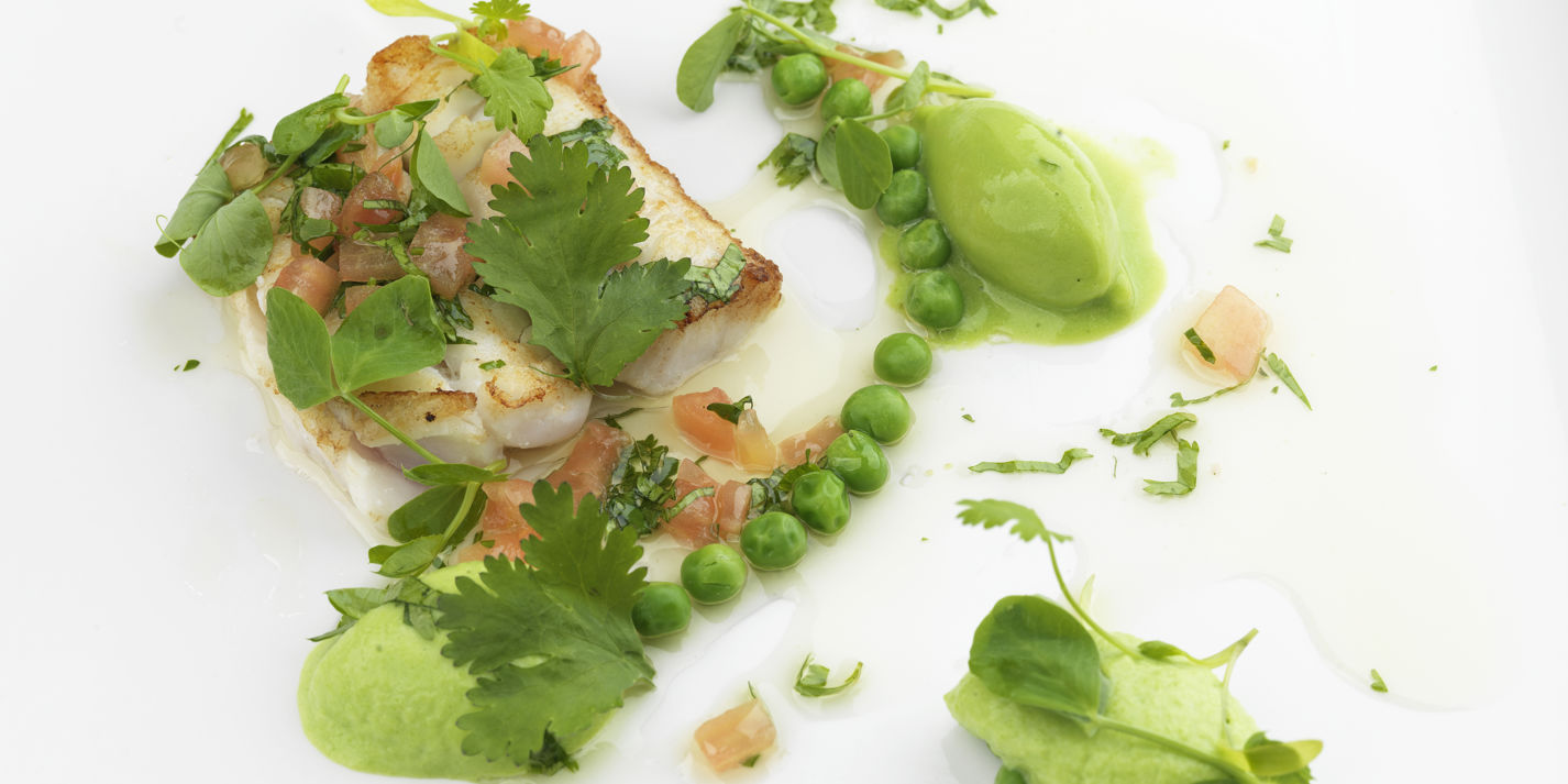 Halibut with Pea Recipe - Great British Chefs