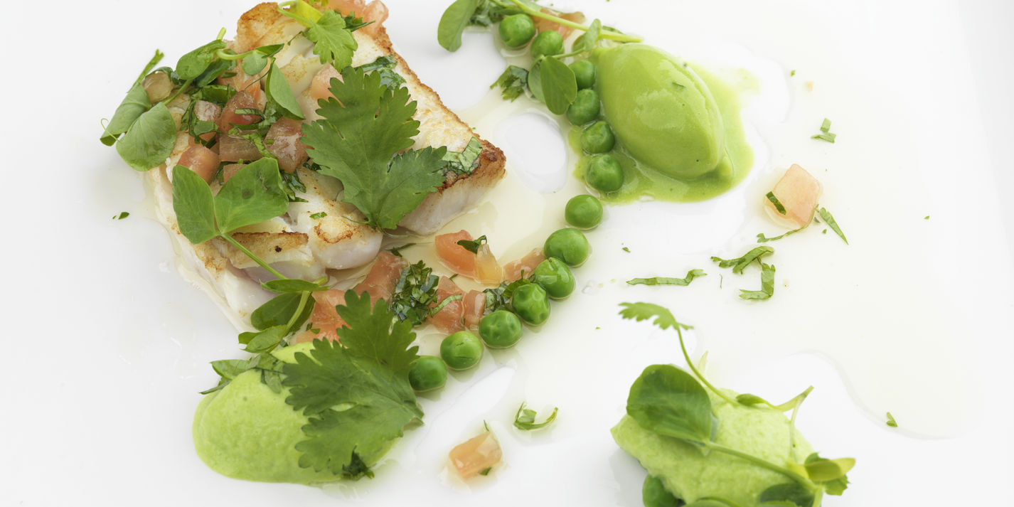 Halibut with Pea Recipe - Great British Chefs