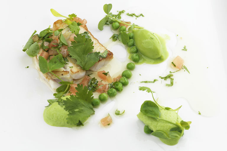 Baked Alaska halibut with pea mousse and sauce vierge