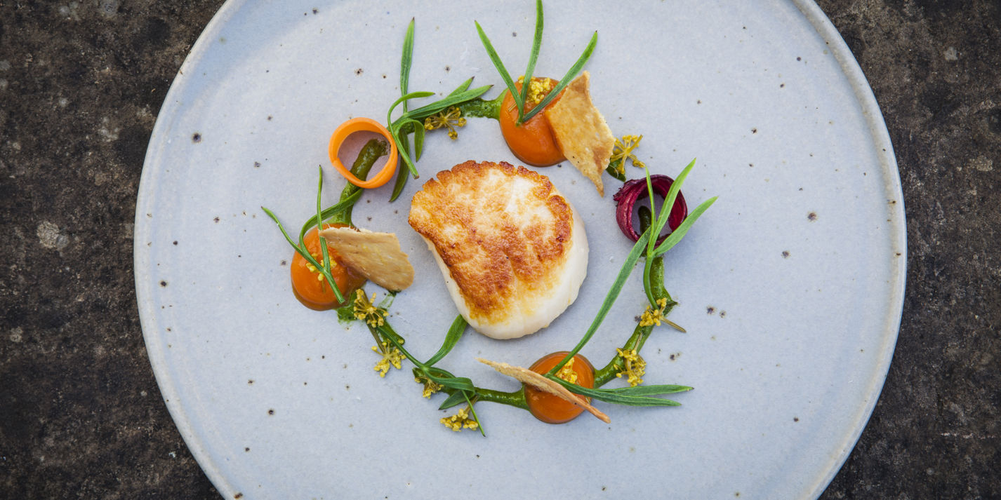 Orkney Scallop with Fermented Carrots and Alexanders Recipe - Great British Chefs