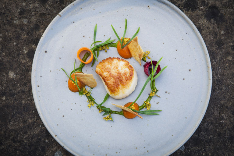Orkney scallop with fermented carrots, pickled alexanders, rock samphire and chicken skin