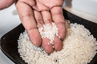 Kome: a guide to Japanese rice