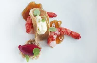Sicilian raw and cooked red prawns, crispy amaranth, Taggiasca olive oil  and beetroot ice cream