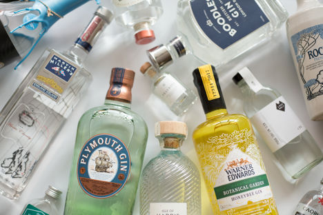 16 of the best British gins for summer