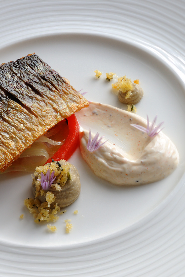 Mackerel with Fennel Recipe Great British Chefs