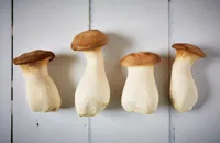 How to cook king oyster mushrooms