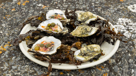 Galway oysters ‘two ways’