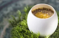 Free-range egg with dried true morels and char caviar