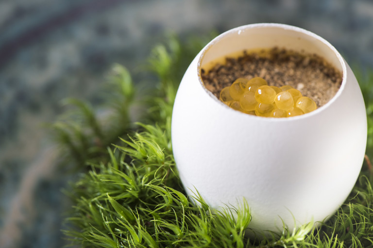 Free-range egg with dried true morels and char caviar