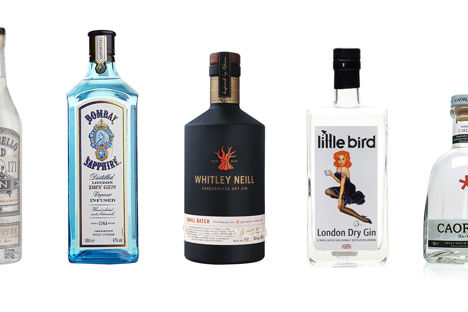 The UK’s best citrusy and herbaceous gins