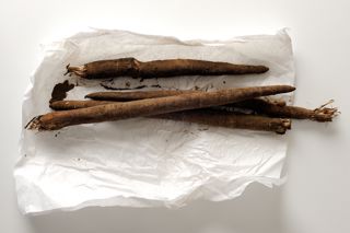 What's in season - November