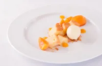 Poached apricots with almond sponge, apricot gel and clotted cream ice cream