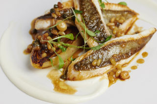 Fillet of John Dory with orange glazed endive