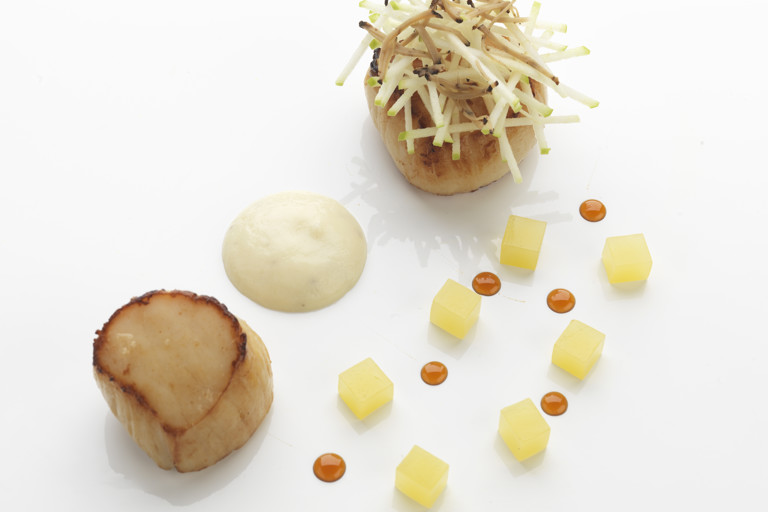 Hand-dived scallops with celeriac and truffle purée