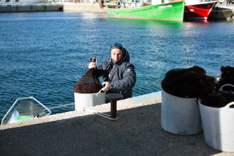 In pictures: fishing for sea urchins off the Catalonian coast