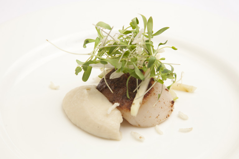 Spiced diver-caught Scottish scallops