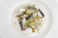 Soused herring with heritage potato, celery salad and bloody Mary sauce