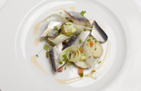 Soused herring with heritage potato, celery salad and bloody Mary sauce