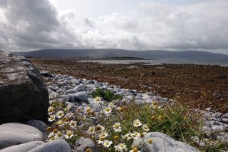 The rise of Irish food: a world-class cuisine getting the attention it deserves