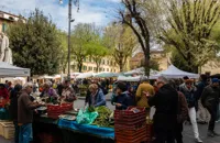 Firenze’s finest: the best food markets in Florence