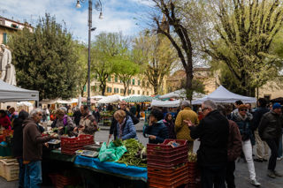 Firenze’s finest: the best food markets in Florence