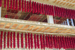 Peperone di Senise: the sweet peppers of Basilicata