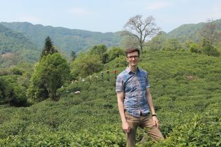 The tea taster: getting the most out of your leaves