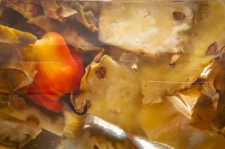 How to ferment vegetables
