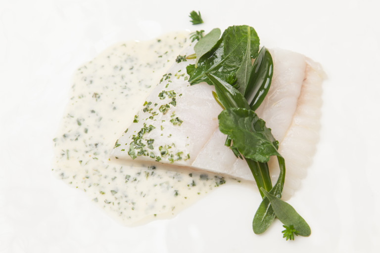 Brill with Fish Fumet and Sea Herbs