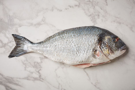 How to cook sea bream 