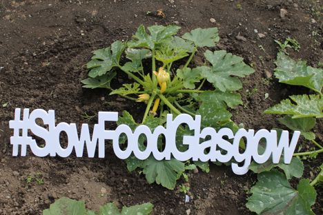 Bringing the Slow Food movement to Glasgow