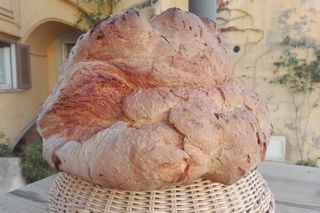 Pane di Matera: the ancient bread of Basilicata