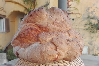 Pane di Matera: the ancient bread of Basilicata